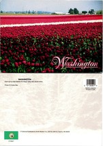 Washington Skagit Valley Pink Purple White Tulip Flowers Farm VTG Postcard - £7.63 GBP