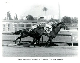 1974 - FOREGO winning the Donn Handicap at Gulfstream Park - 10&quot; x 8&quot; - £16.24 GBP