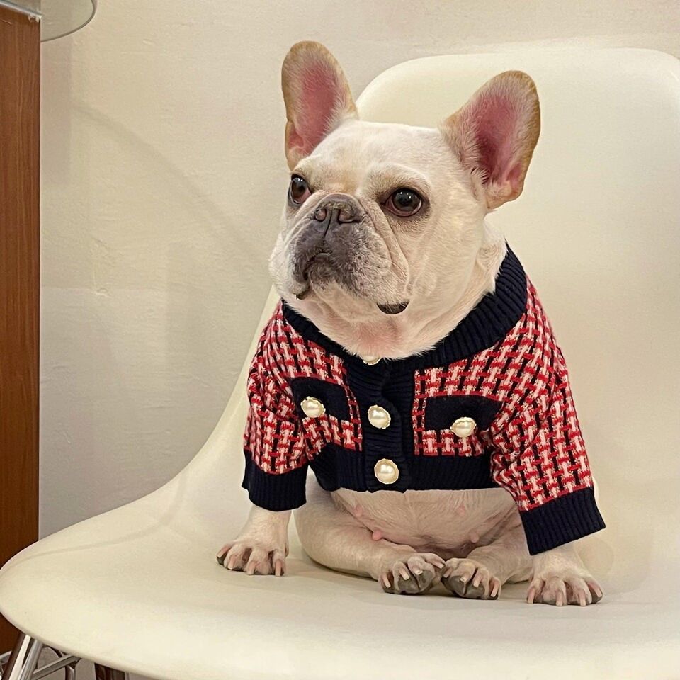 Fashion Cute Print Winter Pet Sweater - $24.18+