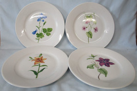 Martha Stewart Skylands Botanic Salad Plate set of 4 Different - £29.19 GBP