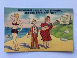 Vintage Linen Postcard Funny Cartoon Comic Divided Back Collectible - $6.35