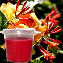 Honeysuckle Jasmine Scented Soy Wax Candle Melts Shot Pots, Vegan, Hand Poured - £12.76 GBP+