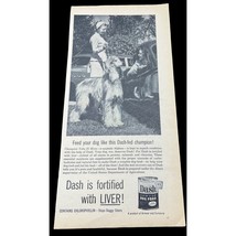 Armour Dash Dog Food Vintage Print Ad 1954 Afghan Hound Liver Fortified - £11.21 GBP