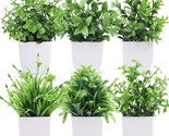 Der Rose 6 Packs Mini Artificial Indoor Plants In Small Sizes For Farmhouse - $33.99
