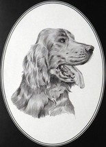 Dog - Dennis Hennesey - Framed Print - 11" x 14" - $32.50