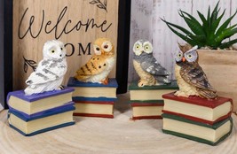 Wisdom Of The Forest Bibliography Owls Sitting On Books Figurine Owl Set... - $20.99