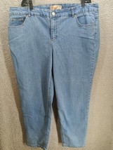 Just My Size Women&#39;s 2 Pocket Flat-Front Jeans Pull On Elastic Denim Sz 22W - $25.74