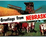 Dual View Banner Greetings From Nebraska NE UNP Chrome Postcard J13 - $4.90