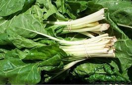 Swiss Chard Fordhook 50 Vegetable Seeds - £6.35 GBP