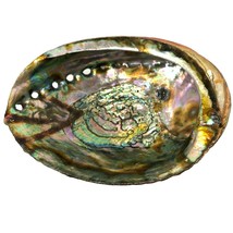 Abalone Shell Iridescent Pink Green Gold Smudge Pot Incense Holder Trink... - $29.69