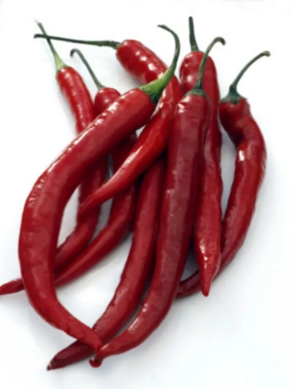 50 Seeds Cayenne Pepper Italian Cayenna Heirloom Seeds Grow Fast Instant Charm - $10.39