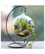 DIY Hydroponic Plant Flower Suspended Glass Ball/Vase with Iron Rack Gar... - $19.90