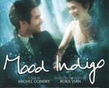Mood Indigo DVD | English Subtitles | Region 4 - $8.43
