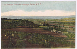 Postcard New York Birdseye View Of Conewango - £3.20 GBP