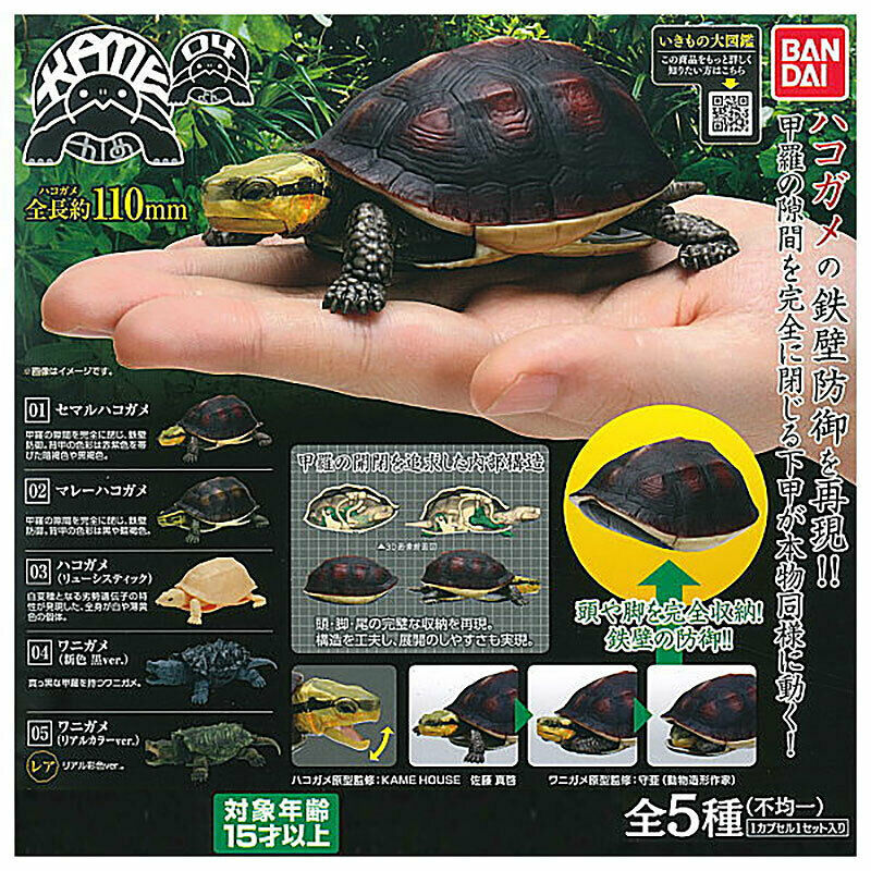 Primary image for Turtle Vol. 4 Box Turtle & Alligator Snapping Turtle Mini Figure Collection