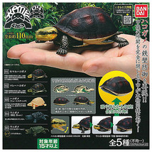 Turtle Vol. 4 Box Turtle &amp; Alligator Snapping Turtle Mini Figure Collection - £29.15 GBP+