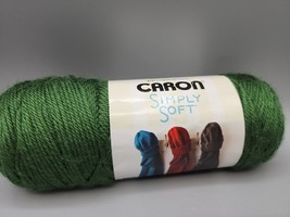 Caron Simply Soft 1 Skein, 6oz, Dark Sage H97003 100% Acrylic Yarnspirations - $6.91