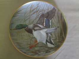 Mallard Collector Plate Basil Ede Waterbirds Duck Birds Wildlife - £19.17 GBP