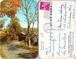 New York Endicott Catskill Mountain Vacationlands Posted in 1964 VTG Postcard - £7.47 GBP