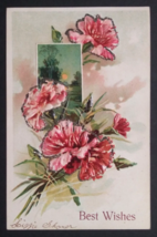 Best Wishes Mica Embellished Carnations Flowers Scenic Embossed Postcard 1900s b - £7.82 GBP