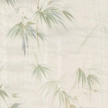 Brewster 414-05018 Edulis Bamboo Texture Wallpaper, Cream - $64.99