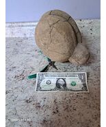 Raw Septarian Nodule 14 lbs • Unique Natural Pattern • Uncut Collector S... - $195.99