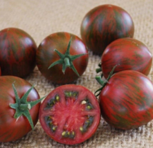 25 Pc Seeds Tomato Purple Zebra Vegetable, Cherry Tomato Seeds for Planting | RK - $42.00