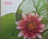 Blossom [Vinyl] - £18.66 GBP
