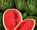 All Sweet Watermelon Seeds 20 Garden Fruit Avg Wt 25-35 Lbs Fast Shipping - £7.22 GBP