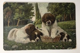 Animal Dog Puppy Postcard Old Vintage Card View Standard Souvenir Postal... - £7.92 GBP