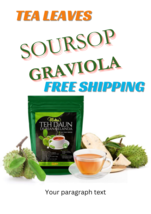 3 BAGS Soursop/Gaviola Leaves Tea Bag NATURAL 20 Sachets x 100g FREE SHI... - $191.99