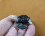(Y-TUR-SET-51) little brown tan SEA TURTLE carving stone gemstone SOAPST... - £6.97 GBP