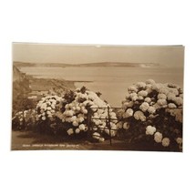 Vintage 1936 Shanklin Hydrangea Time England RPPC Postcard - £6.88 GBP