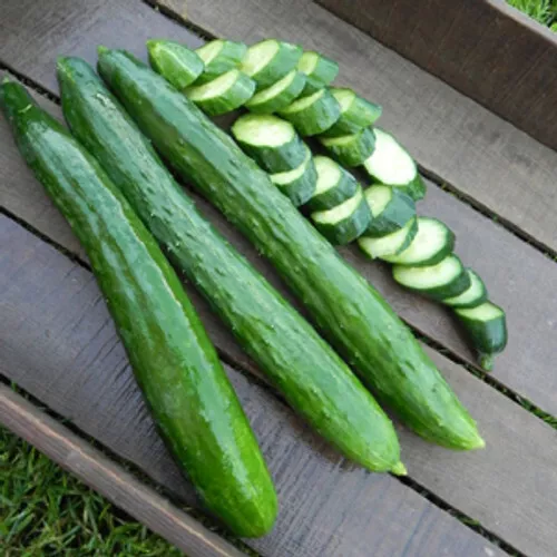 Semilir 10 Seeds Tasty Green Cucumber Vegetable Suppliers - €8,48 EUR