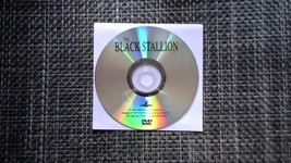 The Black Stallion (DVD, 1979, Widescreen &amp; Full Screen) - £3.14 GBP