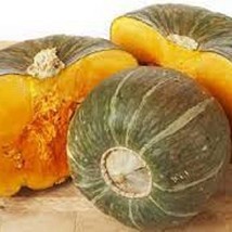 Buttercup Winter Squash - Organic, Heirloom Seeds - Distinctive Turban S... - $8.98