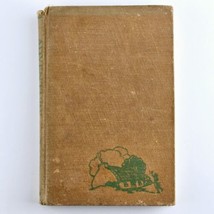 Adventures in Ireland by Dahris Martin 1949 Antique Fiction Hardcover YA Book
