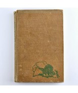 Adventures in Ireland by Dahris Martin 1949 Antique Fiction Hardcover YA... - £17.30 GBP