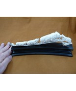 (bear-49) Mama bear 3 little bears of shed ANTLER figurine Bali detailed... - $4,848.91 MXN