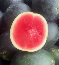 Black Diamond Watermelon Seeds | Heirloom | Organic FRESH - $11.71