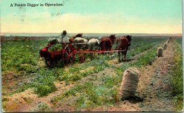 Vtg Postcard 1920 A Potato Digger In Operation - Portland Post Card Co - $5.77