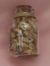 Mini Jar of Seashells home decor accents lot of 2 NEW! Really Cute Natural Items - £9.73 GBP