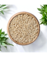 Premium Pakistani Pine Nuts Fresh &amp; Natural Rich in Flavor &amp; Nutrients ص... - $23.43 CAD+