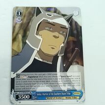Sokka: Warrior of the Southern Water Tribe RR Avatar the Last Airbender - €4,32 EUR