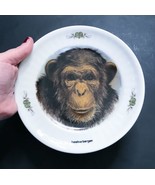 Chimpanzee Collectors Plate Enter Holland Netherlands Beekse Bergen Safa... - $9.90