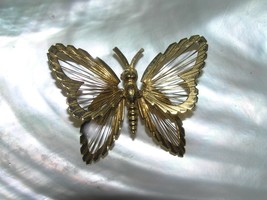 Vintage MONET Signed Goldtone BUTTERFLY with Thin Wire Wings Pin Brooch ... - £9.58 GBP