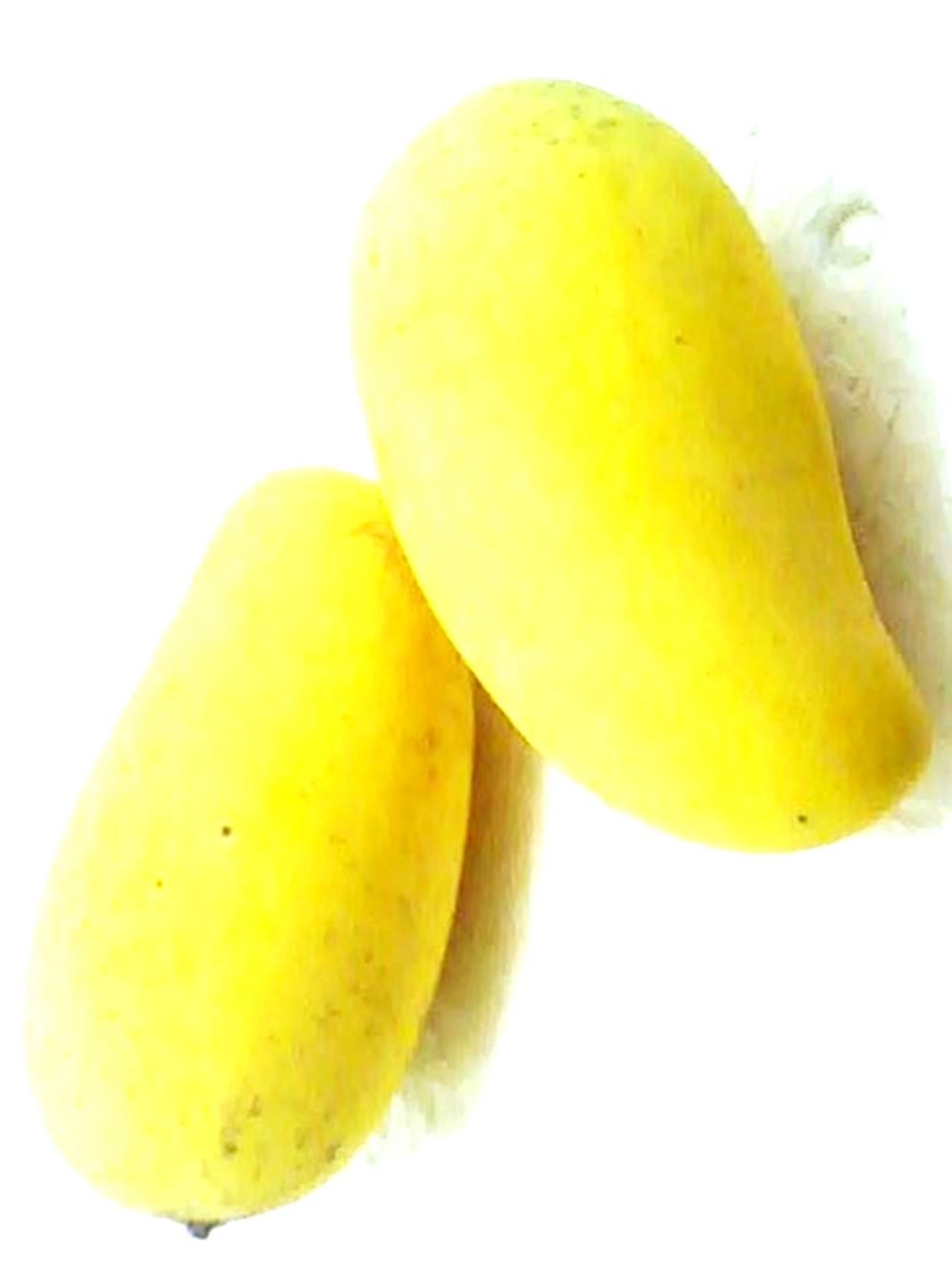 Thai Sweet Mango Mangifera Anacardiaceae 4 Seeds ThailandMrk
