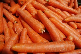 Vegetable Seeds - Kuroda Carrot-500 Heirloom Seeds - $3.99