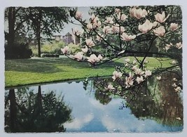 Postcard Hanau a Main SchloBgarten Schlossgarten Park Germany Writing A4 - $5.75