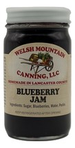 BLUEBERRY JAM - 100% Natural 1-12 8oz Jar Lot Fresh Fruit Spread Amish Homemade - £6.22 GBP+